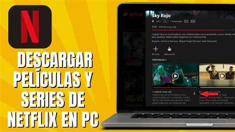 descargar peliculas de netflix por mega|descargar netflix en laptop.